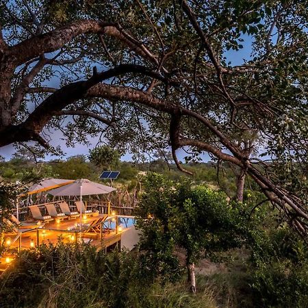 Africa On Foot Klaserie Private Nature Reserve Exterior foto