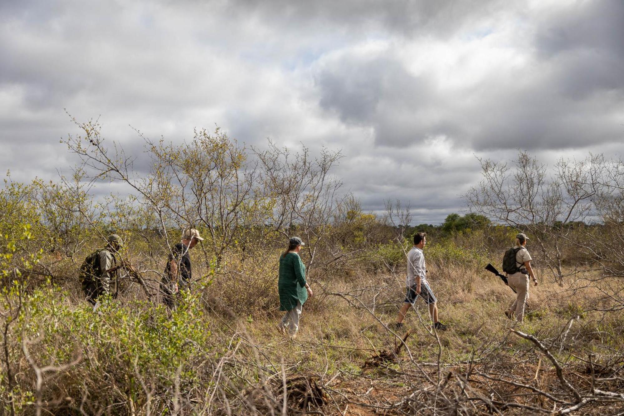 Africa On Foot Klaserie Private Nature Reserve Exterior foto