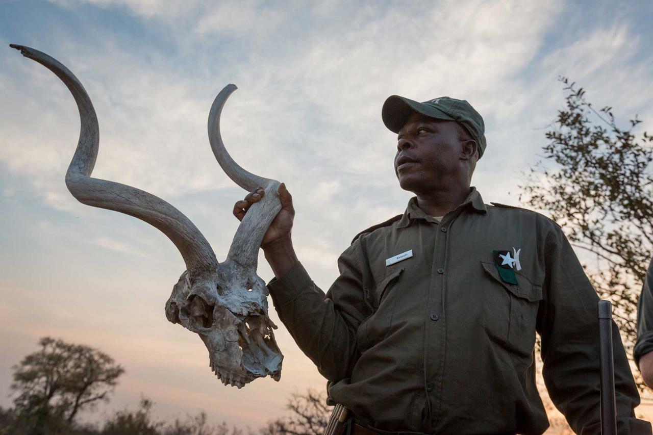 Africa On Foot Klaserie Private Nature Reserve Exterior foto