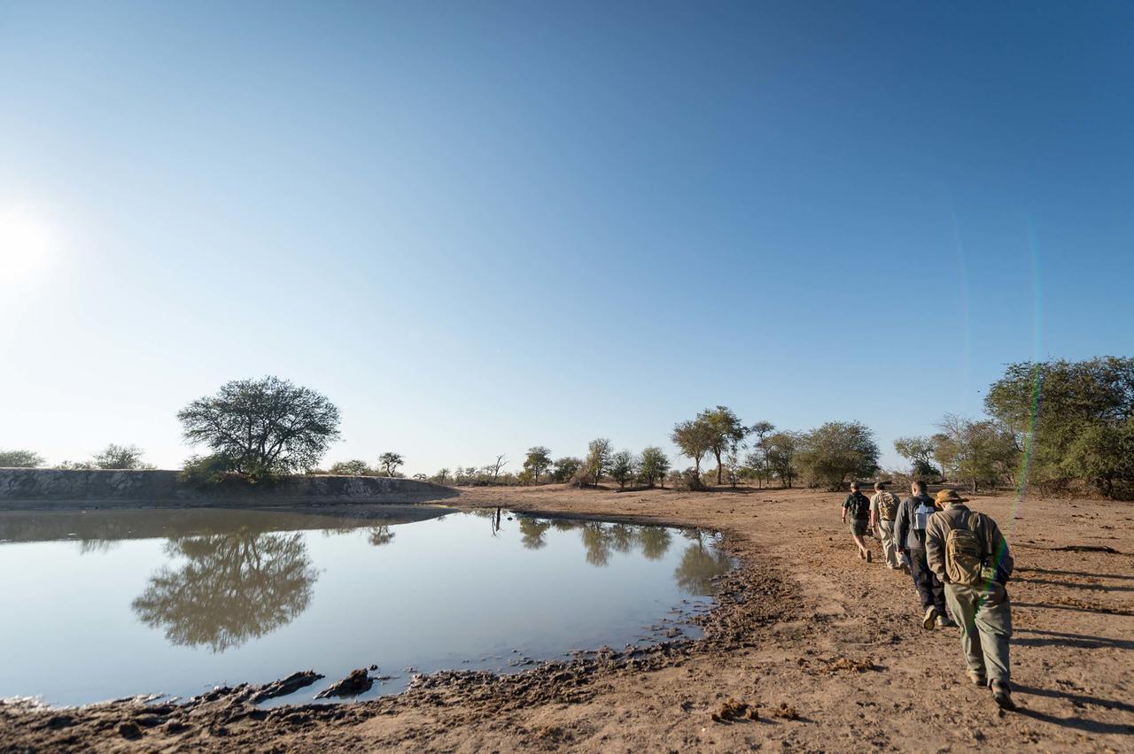 Africa On Foot Klaserie Private Nature Reserve Exterior foto